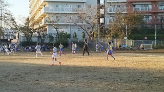IMG_0082.jpg